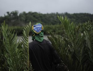 Brezilya’da 6 yerli yaşam alanında madencilik yasaklandı