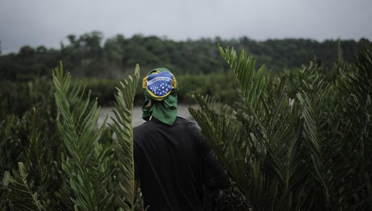 Brezilya’da 6 yerli yaşam alanında madencilik yasaklandı