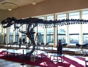 T-Rex iskeleti açık artırmayla 6,2 milyon dolara satıldı