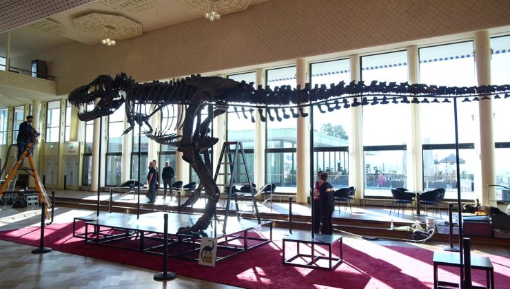 T-Rex iskeleti açık artırmayla 6,2 milyon dolara satıldı