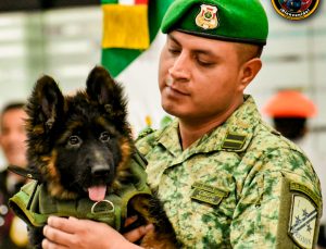 Meksika, Proteo’nun anısına hediye edilen yavru köpek ‘Arkadaş’ı askeri törenle karşıladı