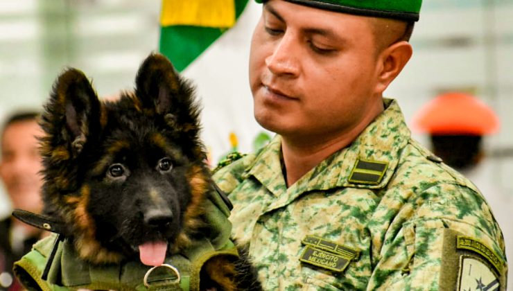 Meksika, Proteo’nun anısına hediye edilen yavru köpek ‘Arkadaş’ı askeri törenle karşıladı