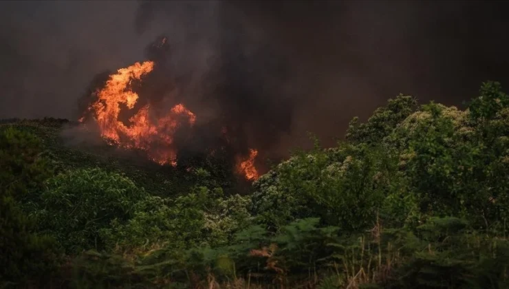 İspanya’da orman yangınları iki gündür devam ediyor, 700 kişi tahliye edildi