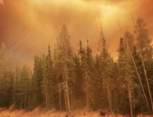 Kanada’da orman yangınlarından yükselen dumanlar ABD’ye ulaştı