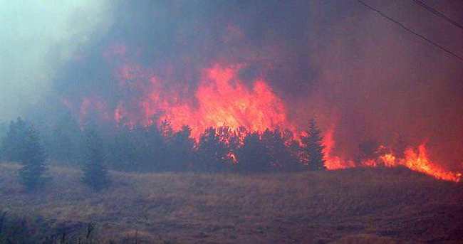 Orman yangını binlerce insanı doğu Kanada’yı tahliye etmeye zorladı