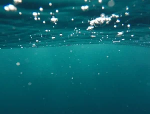 Florida’da bir kişi su altında en uzun süre yaşama rekorunu kırdı