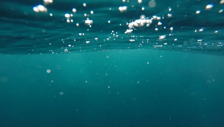 Florida’da bir kişi su altında en uzun süre yaşama rekorunu kırdı