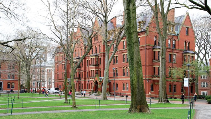 Harvard Tıp Fakültesi’nin morg müdürü kadavra parçalarını satmakla suçlanıyor