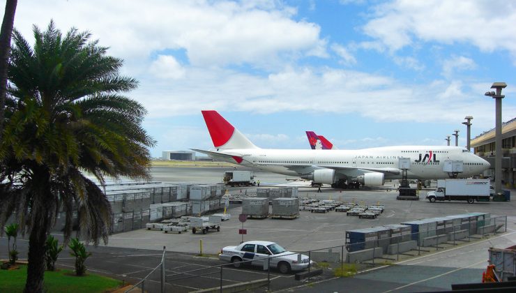 Hawaii havaalanında tahtakurusu istilası, havaalanı dezenfekte ediliyor