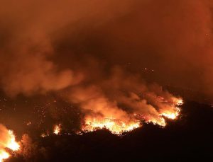 Orman yangını: Yüzlerce dönümlük alan kül oldu