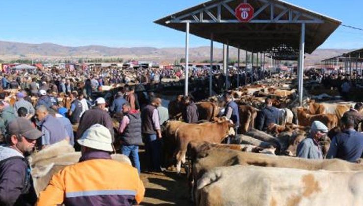 Şap karantinası nedeniyle o şehirde kurban pazarı açılmayacak