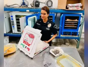 Los Angeles polisinden “pizzacı görünümlü uyuşturucu laboratuvarına” baskın