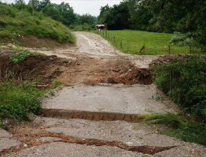 Sırbistan’da sel nedeniyle 42 şehir ve ilçede OHAL ilan edildi