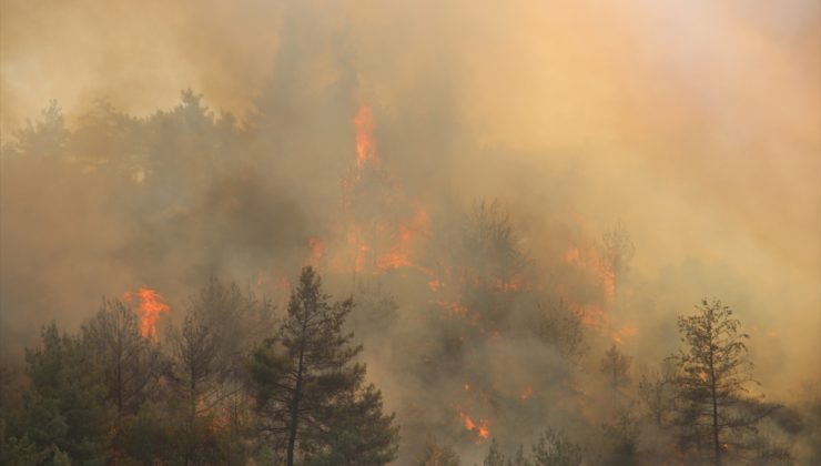 Hatay’da orman yangını çıktı