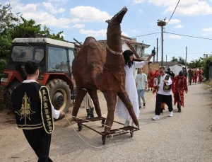 Batı Trakya’da Deve Şenliği