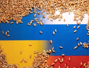 Almanya’dan, Rusya’ya tahıl koridoru çağrısı