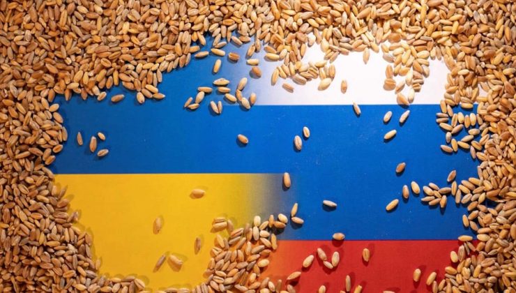 Almanya’dan, Rusya’ya tahıl koridoru çağrısı