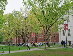 Harvard Üniversitesi öğrencilerinin Filistin yanlısı kampanyası, eski mezunları kızdırdı