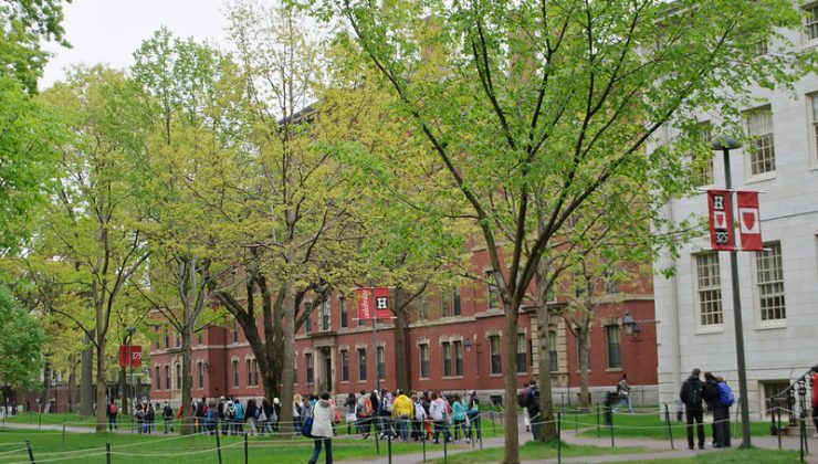 Harvard Üniversitesi’nden yapay zeka hamlesi