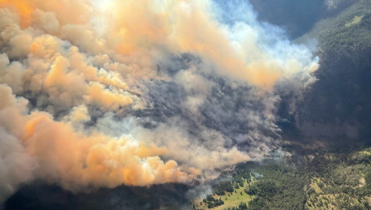 Idaho’daki orman yangını giderek büyüyor