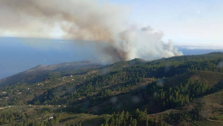 İspanya’da orman yangını: 140 hektar alan kül oldu