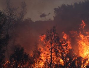 Yunanistan’ın Korfu Adası’nda orman yangını çıktı