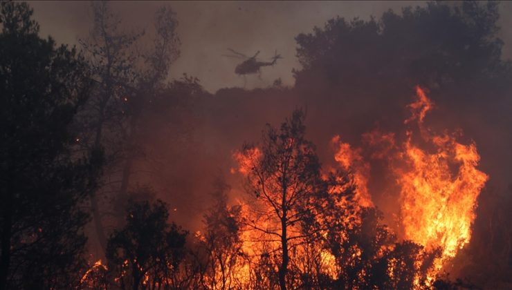 Yunanistan’ın Korfu Adası’nda orman yangını çıktı