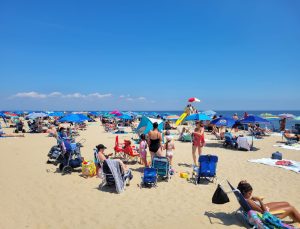 Hava sıcaklığı yükseldi, Amerikalılar plajlara akın etti