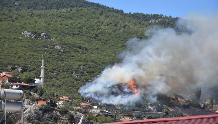 İzmir’de iki ayrı noktada orman yangını