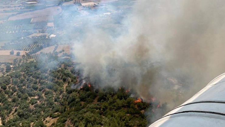 İzmir’de orman yangınlarına müdahale sürüyor