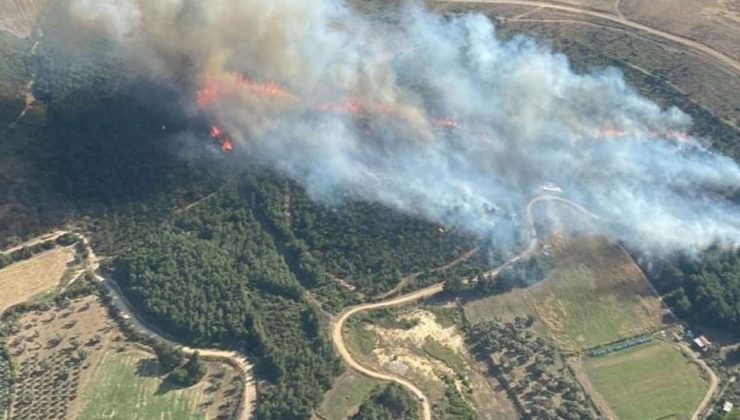 İzmir’in Kemalpaşa ve Menemen ilçelerinde orman yangını