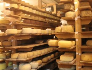 Listeria tehlikesi 650 kg peynirin geri çağrılmasına neden oldu