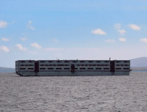 İngiltere’nin “Yüzer kafes”inde lejyonella bakterisi alarmı, gemi boşaltıldı
