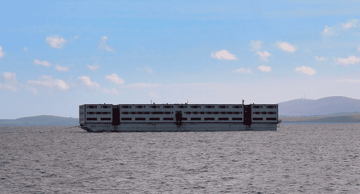 İngiltere’nin “Yüzer kafes”inde lejyonella bakterisi alarmı, gemi boşaltıldı