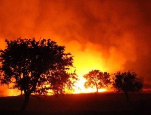 Gece görüşlü helikopterlerle orman yangınına müdahale sürüyor