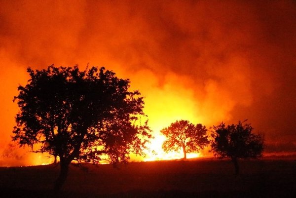 Gece görüşlü helikopterlerle orman yangınına müdahale sürüyor