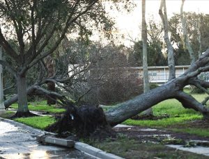 Florida’da Idalia Fırtınası nedeniyle şiddetli yağmur ve sel uyarısı yapıldı