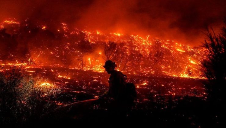 Maui’deki orman yangınında ölen kadının babası hükümete ihmal davası açtı