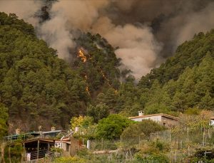 Avustralya’nın Batı Avustralya eyaletinde orman yangını alarmı verildi