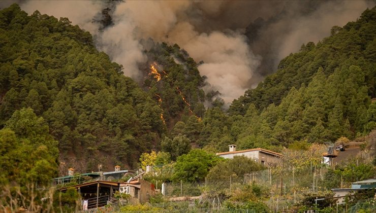 Orman yangını nedeniyle 5 köy tahliye edildi