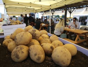 “Patates Günleri Fuarı” üreticilerle sektör firmalarını buluşturdu