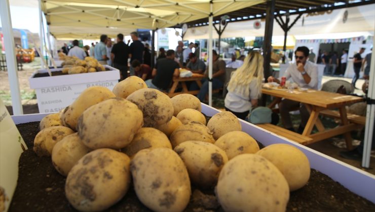 “Patates Günleri Fuarı” üreticilerle sektör firmalarını buluşturdu