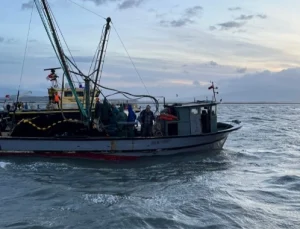 Yasa dışı balık avlayanlara ceza yağdı