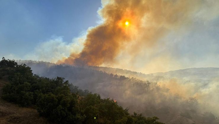 Bingöl’de ormanlık alanda çıkan yangına müdahale ediliyor