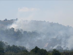 Türkiye yangın yeri, 5 ilde orman yangını