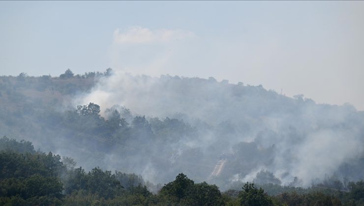 Türkiye yangın yeri, 5 ilde orman yangını