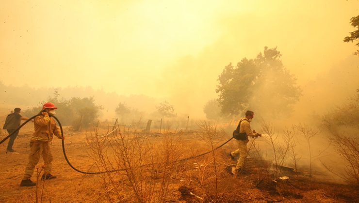 Haziranda anız yangınlarından 1116 hektar ormanlık alan zarar gördü