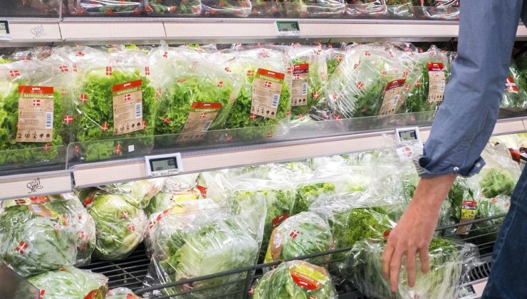 Food Lion ve Kroger’da satılan dondurulmuş sebzelerde listeria alarmı