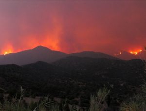 Güney Kıbrıs, KKTC’nin orman yangınına yardım teklifini kabul etmedi