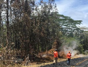 Hawaii kasırga kaynaklı orman yangınları nedeniyle olağanüstü hal ilan etti